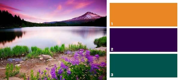 右の画像から得たインスピレーションで、右のボックスの色を選んでください。