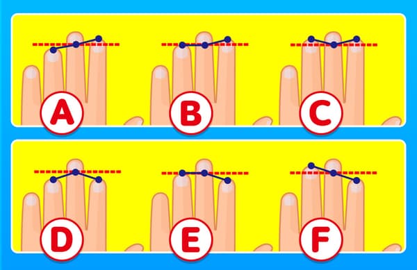 左手の甲を見て下さい！絵を見て、あなたの手と同じものを選んでください！