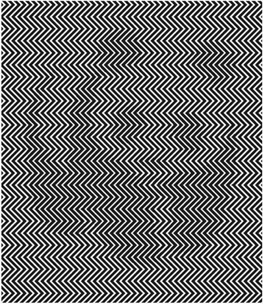 目がクルクル回りそうな画像の中の正解は何だろう?!(画面を傾けたり揺らすとよく見えます。)