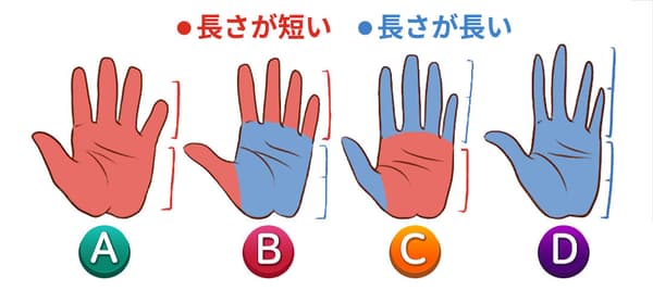 あなたの手はどの類型?