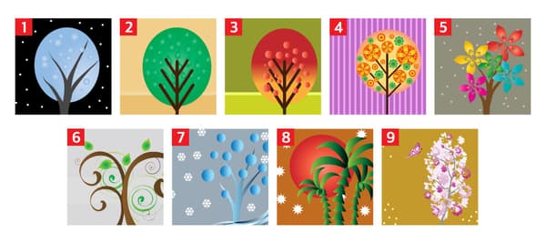 一番好きな木を選択して下さい！