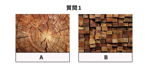 どちらか好きな写真をお選びください