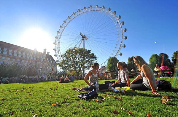 友達と一緒に公園で楽しい時間を過ごしているあなた。少し離れた所から、誰かのボールがこっちに飛んできた。あなたの足元に転がってきたボールは、どのボール？