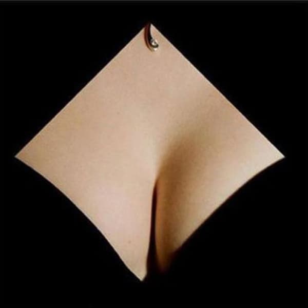 この写真を見て、思い浮かんだ考えを正直に答えてください。