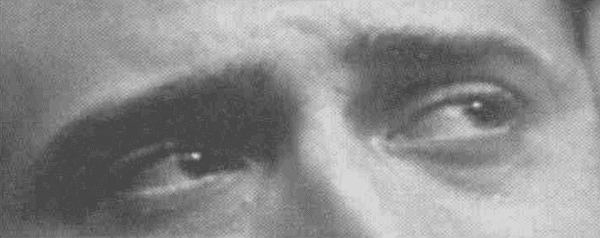 写真の中の主人公の感情は？