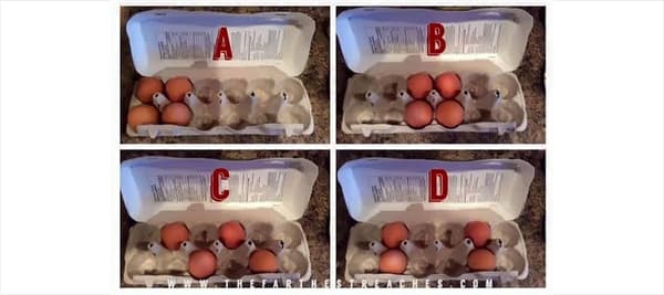 次に、気に入った画像を選択してください!