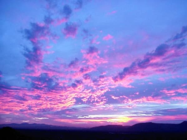 絵の中で一番目につく色はどれ？