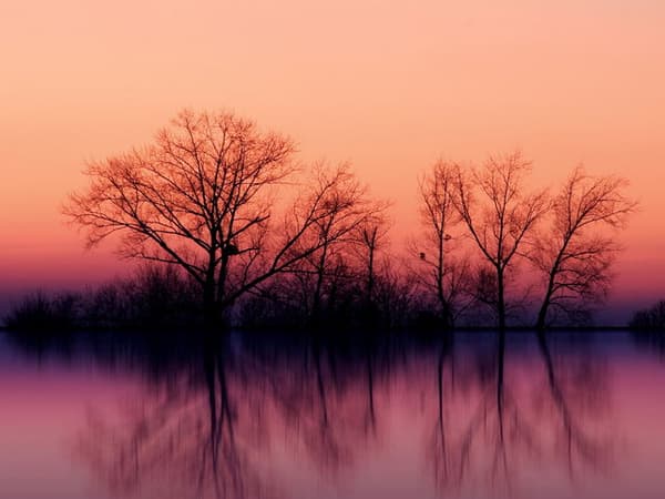 絵の中で一番目につく色はどれ？