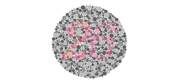 何が見えますか？