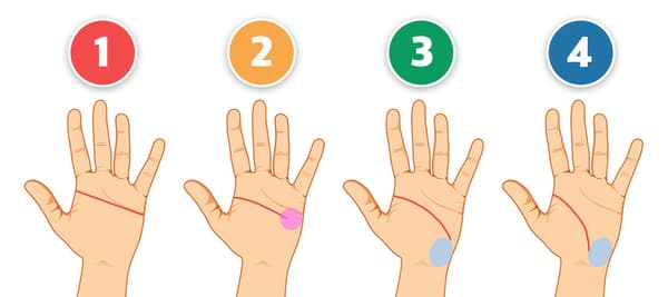 あなたの頭脳線と一番似ている形を選んでください！