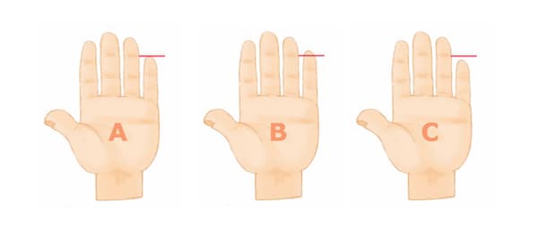 あなたの小指の長さはどうですか？一番似ている画像を選択してください。