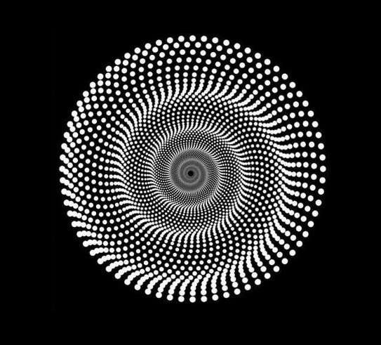 画像がどんな形に見えますか？