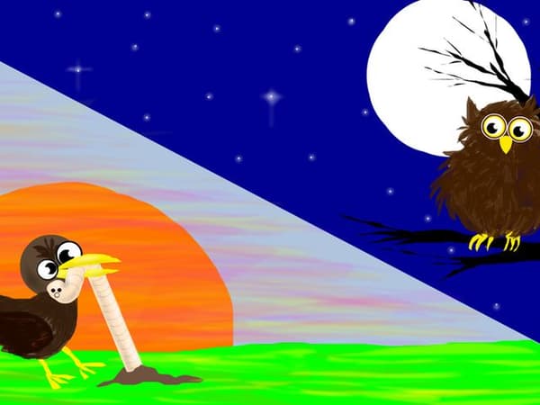 一番最初に目に入ってくるものは？