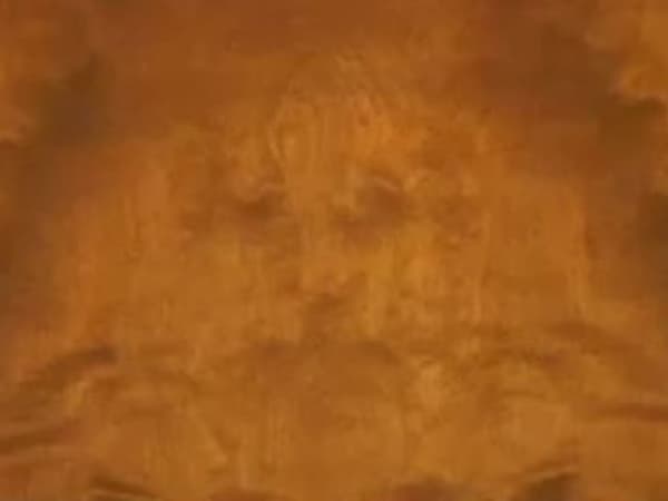 写真の中から何が見えますか？