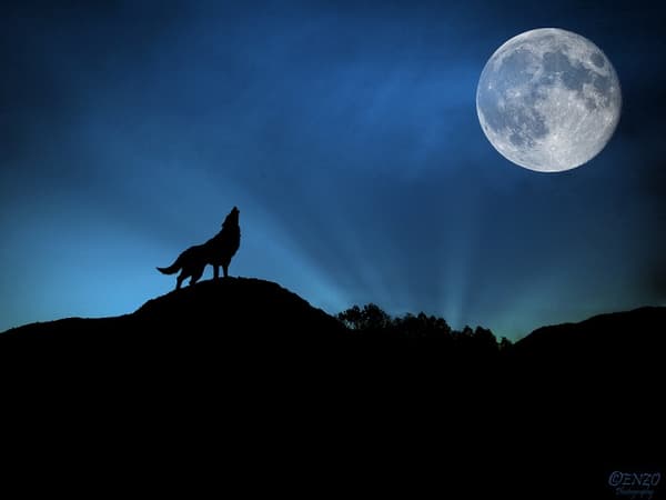 夜になった！どこで寝る？