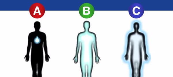 영혼이 어디에 있다고 믿으시나요?