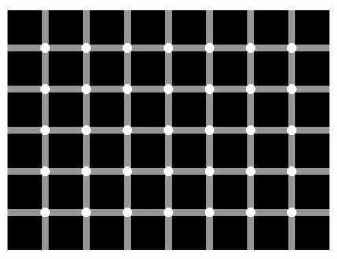 검은 점이 어떻게 보이십니까?