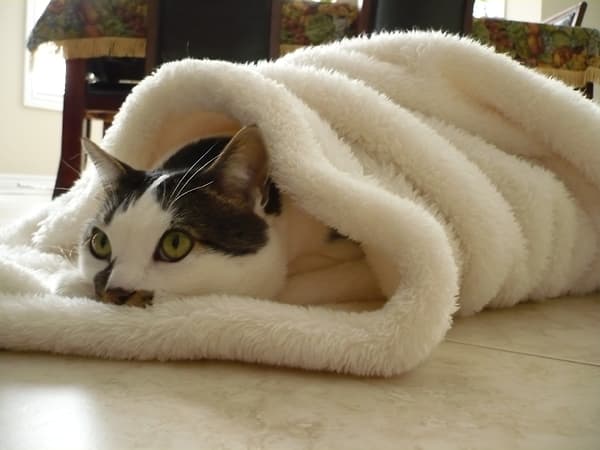 감기 걸리면 으슬으슬 몸이 춥다.