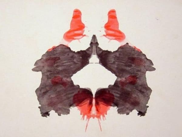 이미지에서 가장 먼저 보이는 것은?