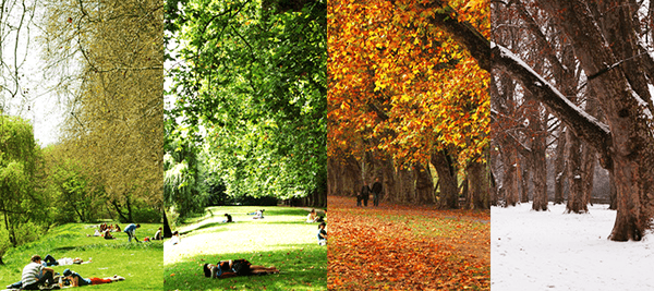 당신이 좋아하는 계절은?