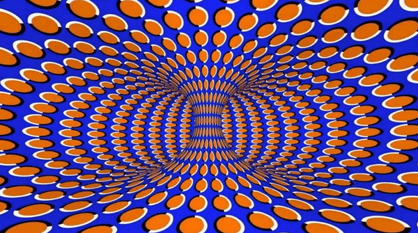 이미지가 어떻게 보이시나요?