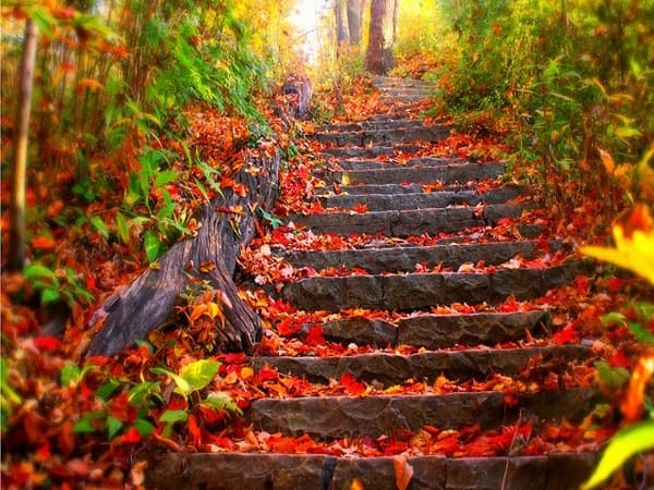 사진 속에서 가장 눈에 띄는 색은?