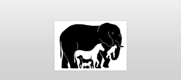 몇 마리의 동물이 보이세요?