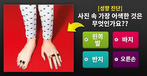 [성향 진단] 사진 속 가장 어색한 것은 무엇인가요??